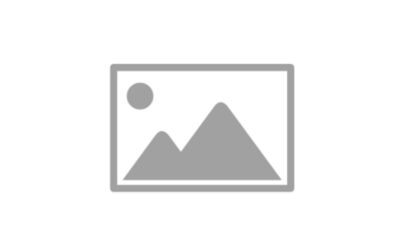 8.5 Edmund St. Ridgeley WV 26753